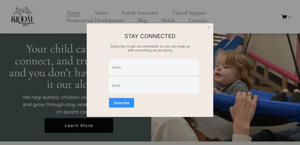 Homepage of Bloom Developmental Center